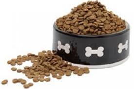 This is the natural method to cure your dog's sick tummy. Learn More On Our Pest Control Blog American Pest Control Best Pest Control Company In Central Illinois American Pest Control