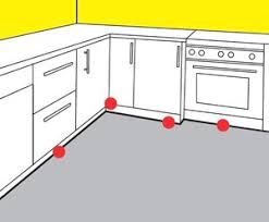 Pestxpert 2 In 1 Cockroach Bait Pestxpert