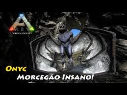 Resultado de imagem para onyc ark ark