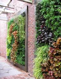 Diy vertical garden (green wall) with automatic irrigation / watering. Beautify Your Home With A Diy Living Wall Ounce Of Salt