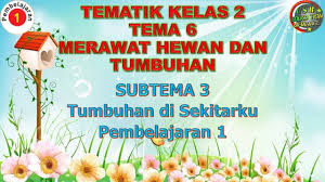 Maybe you would like to learn more about one of these? Kelas 2 Tematik Tema 6 Subtema 3 Pembelajaran 1 Merawat Hewan Dan Tumbuhan Youtube