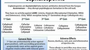 Cephalosporin Structure Classification Clinical Use And Mode Of Action Online Biology Notes