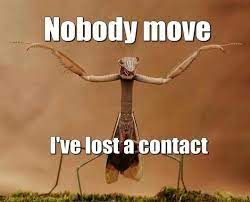 Pin On Humor Optico Optical Humor