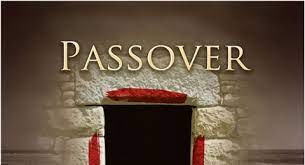 Check spelling or type a new query. The Passover Family Radio 316