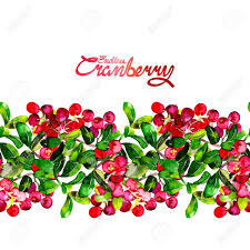 Watercolor Cranberry Endless Border Christmas Floral Design Stock Photo Picture And Royalty Free Image Image 56237890 Drop, white fresh water drop border texture png. watercolor cranberry endless border christmas floral design