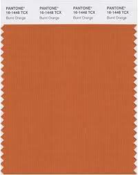 Image #14 of 20, click image to enlarge. Pantone Smart 16 1448x Color Swatch Card Burnt Orange House Paint Amazon Com