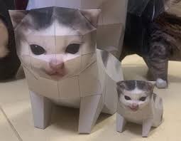 Image result for kitler
