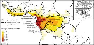 Image result for Halopegia azurea