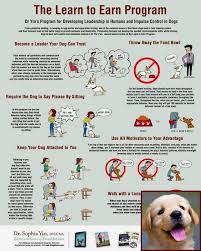 Training bench training mask dog training collar swimming training foam kick board pet training pads bicycle training wheels weighted vest training potty training seat puppy training pads car driving training simulator bodytech ems training suit soccer. Dog Behavior Reddit And Dog Training Classes Prices Dogobediencetraining Dogcommandstraining Dog Behavior Training Dog Training Books Dog Training