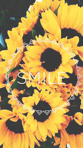 Samsung Hintergrundbilder Wallpaper Falliphonewallpaper Samsung Sunflower Wallpaper Sunflower Pictures Flower Phone Wallpaper