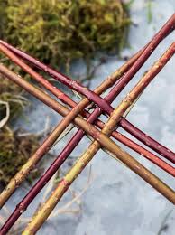 So Bauen Sie Eine Nisthohle Fur Den Zaunkonig Vogel Im Garten Hecke Diy Gartenprojekte
