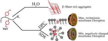 Find leaks find leaks on commercial refrigeration systems, restaurant soda machines, or any other system fieldpiece refrigerant leak detector kit heated diode sensor srl8. Structural Insights Of A Self Assembling 9 Residue Peptide From The C Terminal Tail Of The Sars Corona Virus E Protein In Dpc And Sds Micelles A Combined High And Low Resolution Spectroscopic Study Sciencedirect