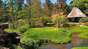 Botanischer Garten Der Universitat Rostock Ndr De Ratgeber Reise Mecklenburgische Ostseekuste