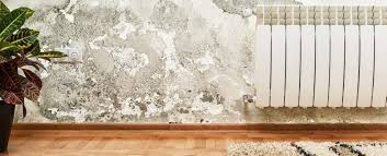 But outdoor infrared heaters work in a similar way to the sun, which heats the earth and not the atmosphere. Does Infrared Heating Work Against Mold Sundirect Technology Ltd