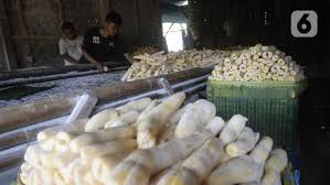 Karena melibatkan mikroba dan termasuk produk fermentasi, kebersihan saat pembuatan menjadi salah satu hal yang harus diperhatikan. Cara Membuat Tape Singkong Dan Resep Olahannya Legit Dan Nikmat