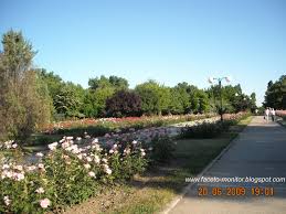 Gradina botanica detine colectiile de plante din zonele tropicale si subtropicale (cactusi, euforbii, palmieri. Turist In Orasul Meu 3 GrÄdina BotanicÄ GalaÅ£i Cincizeci