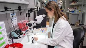 We did not find results for: Precision Medicine Nih Director S Blog