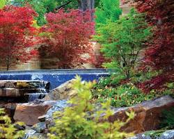 Image of Dallas Arboretum and Botanical Garden