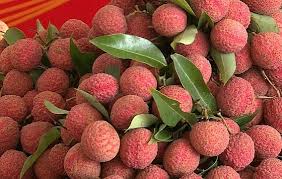 Bắc giang chiếm phần lớn diện tích của vùng kinh bắc xưa và có nền văn hoá phong phú, đặc trưng của kinh bắc. Ä'áº§u Vá»¥ Báº¯c Giang Va Háº£i DÆ°Æ¡ng Tieu Thá»¥ Hang Chá»¥c Ngan Táº¥n Váº£i Thiá»u