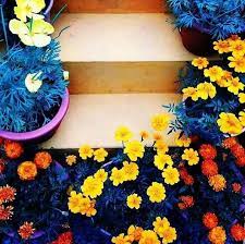 pin by jazmin on زهور ملونه flowers lei necklace jewelry