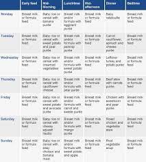 Meal Planner 7 9 Months Baby Food Recipes Baby Food Meal Months Pla Baby Supp 9 Month Old Baby Food Baby Food Recipes Baby Food Schedule