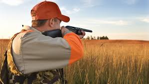 Free ship to store on all orders. Easiest States To Buy A Gun