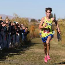 CWAC cross country all-league teams