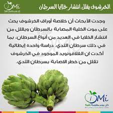 log in tumblr organic health vegetable benefits natural health
