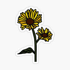* this is an instant sticker page! Double Aesthetic Sunflower On White Sticker By Rocket To Pluto Redbubble