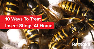 A combination of half apple cider vinegar (although normal vinegar works just as well) and half water in a spray bottle works perfectly to repel those while vinegar is an effective item you can use to get rid of ants, you will need to reapply, as it wears off. Pest Control On Twitter Insect Sting Homeremedy 5 Use Apple Cider Vinegar More Here Https T Co Xxeuhuqwsk Insectsting Https T Co Es6zgvg8lt