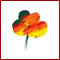 Bioclimatica dell'architettura - workshop di progettazione