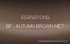 Image result for Autumn Brown 1993 SsangYong