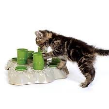 Best budget cat puzzle feeder: Cat Puzzle Feeder Why Your Cat Needs A Puzzle Feeder Diy