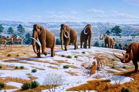 Hewan udang memiliki tubuh yang bersegmen (beruas) setiap ruas nya terdapat sepasang kaki. Zaman Neozoikum Atau Kainozoikum Pembagian Dan Ciri Ciri Halaman All Kompas Com