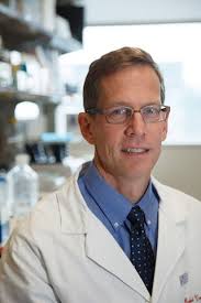 El mejor amigo del hombre podría ayudarnos a curar el cáncer