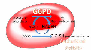 Even when a person becomes symptomatic, the symptoms typically resolve there are several triggers that people with g6pd deficiency need to avoid in order to prevent hemolytic anemia. G6pd Deficiency Causes Symptoms Drugs To Avoid G6pd Deficiency Treatment