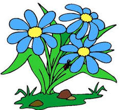 Fun facts about flowers for kids. Plants For Kids Learn About Plants And Their Facts
