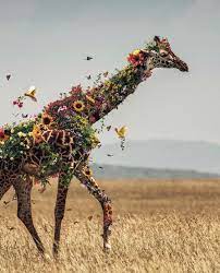 Make It Colorful Effie S Paper Cute Animal Photos Animals Beautiful Giraffe Pictures