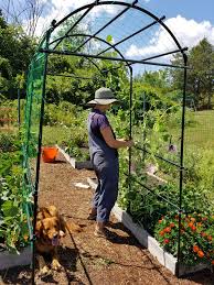 Check spelling or type a new query. Pin By Lily S Loft On Home Decor Ideas In 2021 Metal Garden Trellis Trellis For Squash Squash Trellis