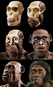 do you believe in theory of special creation? this theory said kasi na "all  living organisms were created by god" survey laungg guys.