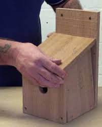 Building Your Own Wooden Bird Box How To Build A Bird Box