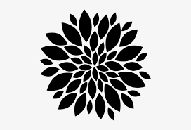 This png image is transparent backgroud and png format. Mandala Floral Flower Png Black And White Transparent Png 477x477 Free Download On Nicepng
