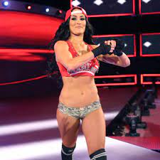 Последние твиты от nikki bella (@nikkibellaveo). Nikki Bella Vs Natalya Falls Count Anywhere Match Photos Wwe