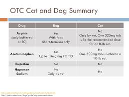 Veterinary care can include hospitalization with continuous intravenous fluids for one to two days. Companion Animal Pain Management Cats And Dogs Ppt Video Online Download