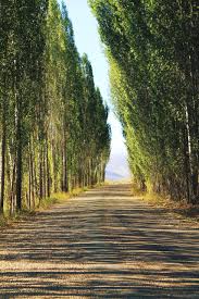 Telefonlarda en çok tercih edilen uygulamalardan biriside kilit ve ana i̇nsanlar sevdikleri şekilde ekran görüntülerini değiştirirler. Tum Akilli Telefonlar Icin En Iyi 70 Zedge Duvar Kagidi