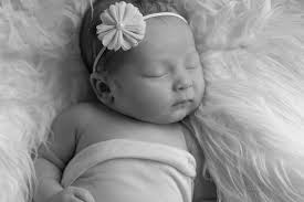 Photos by Alicia Jennerjohn