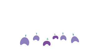 Team Unsw Australia Description 2018 Igem Org