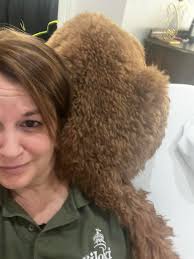 Parrot 🦜 na human being😲😲 see their knàcking style 🤣