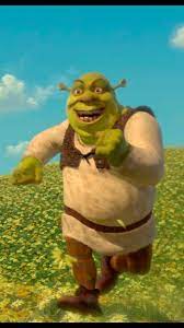 Meme pfp contest (read desc). Pin By Viktoria On Oboi Shrek Shrek Memes Cartoon