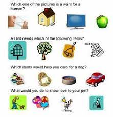 Pin On Pet Care Lesson